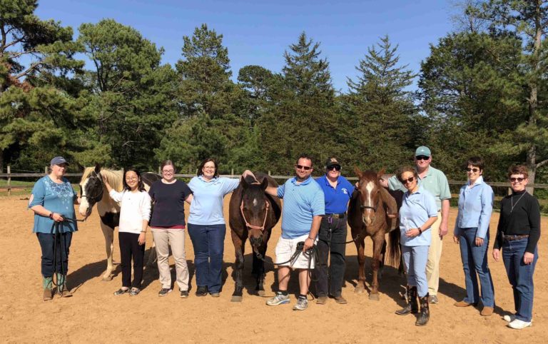 Veteran, therapy horses, group
