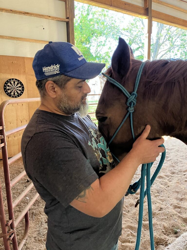 Veteran and therapy horse